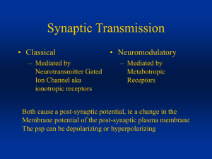 Synaptic Transmission Part II