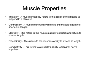 Muscle Properties