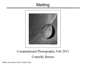 Matting - Connelly Barnes