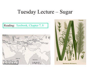 Tuesday Lecture – Leaf and Stem Crops