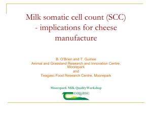 How milk somatic cell count (SCC) affects the quality
