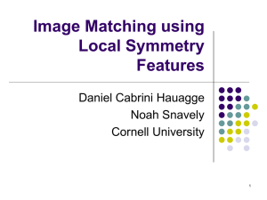 Image Matching using Local Symmetry Features