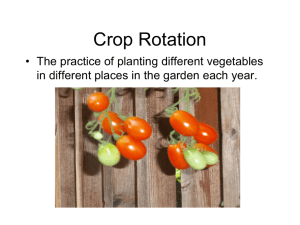 Debs Crop Rotation Presentation