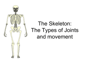 Joints-Movement-Powerpoint