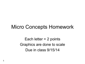 Micro Concepts Homework