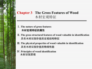 Chapter three The Gross Features of wood