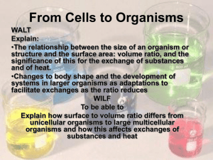 From_Cells_to_Organi..
