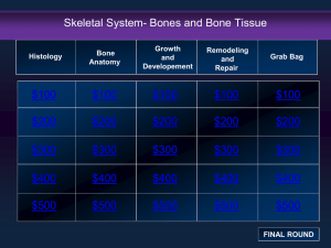 Bones and Bone Tissue