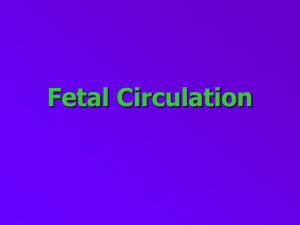 Fetal Circulation(Dr Nasira)