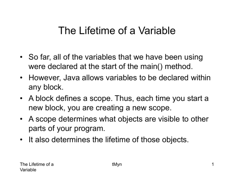 The Lifetime Of A Variable