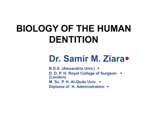 BIOLOGY OF THE HUMAN DENTITION