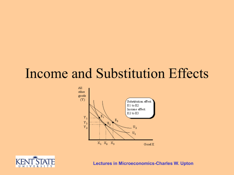 Substitution Effect