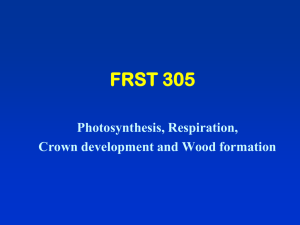 Lecture 3 - FRST 305 | Silviculture