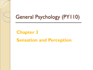 Griggs Chapter 3: Sensation and Perception