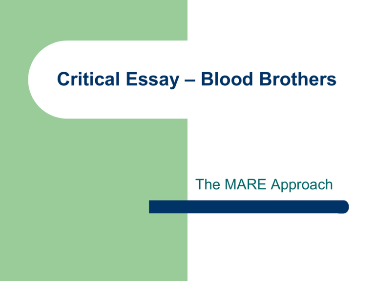 blood brothers education essay