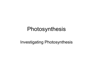 Photosynthesis - plantnutrition