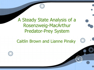 A Steady State Analysis of a Rosenzweig-MacArthur Predator
