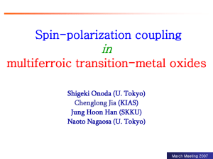 Spin-polarization coupling in multiferroic transition