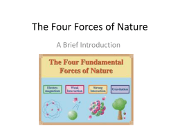 Fundamental Forces Worksheet