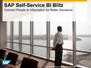 SAP BI Analytics Edition - Blitz