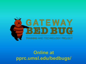 Bed Bugs - Public Policy Research Center - University of Missouri