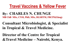 Travel Vaccines & Yellow Fever By