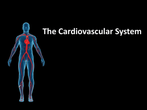 OT Week 2 – Cardiovascular