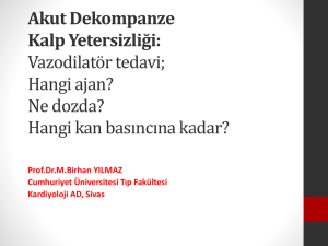1350893397-1385 - Prof.Dr. Mehmet Birhan Yılmaz