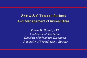 Soft Tissue Infections - What`s New in Medicine