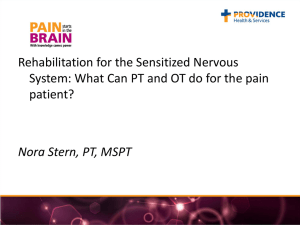 Nora Stern Phys Rehab for the Sensitive Nervous System
