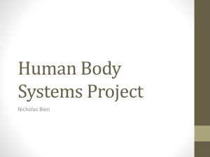 nickHumanBodySystemsProject