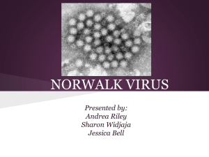 CS2 Norwalk Virus Powerpoint Presentation