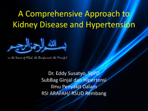 A Comprehensive Approach to Kidney Disease and Hypertension