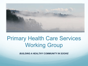 Primary Health Care Services Working Group