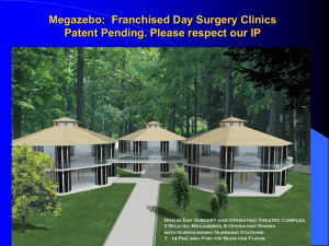 Braun Megazebo Day Surgery Clinic Franchise (ppt)