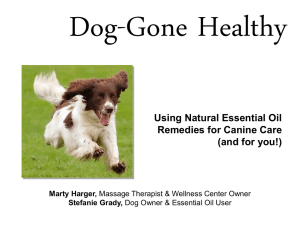 Dog Gone Healthy! - Essential Oil Business
