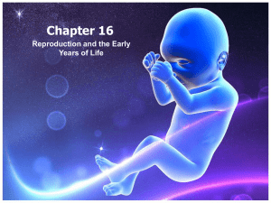 Glencoe Chapter 16 Reproduction New