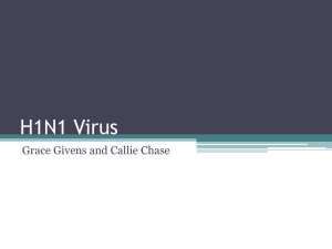 H1N1 Virus - Hopkinton School District