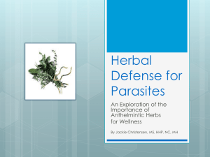 Herbal Defense for Parasites - Jackie Christensen, Holistic Health
