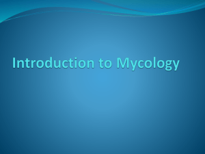 6- Introduction to Mycology - Students