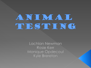 Animal Testing PPt