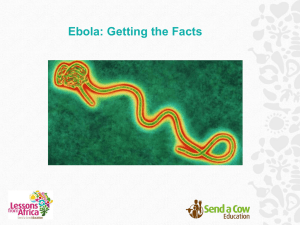 Ebola - The Facts