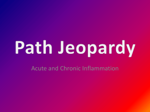 Acute_Inflammation_Path_Jeopardy