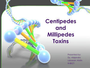 Centipedes and Millipedes Toxins