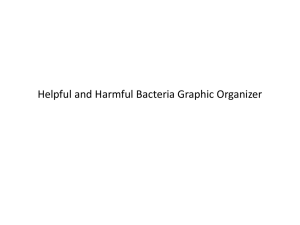 Helpful and Harmful Bacteria Graphic Organizer PP