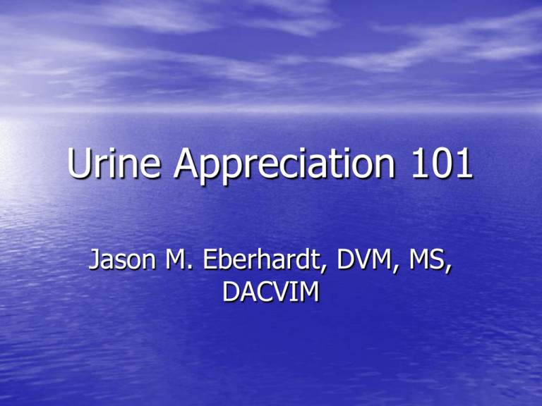 Urine Appreciation 101 VetCare Internal Medicine