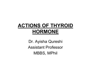 ACTIONS OF THYROID HORMONE