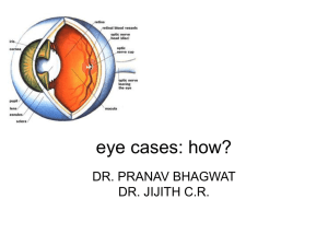 eye cases how