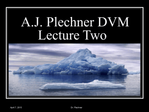 Lecture Two - Dr. Al Plechner