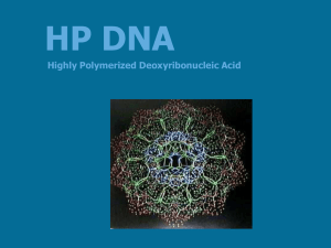 HP DNA - Javenech